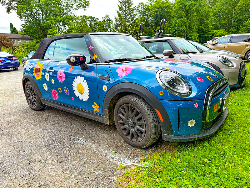 吉林胡女士有空闲汽油车-京J•F3***出租