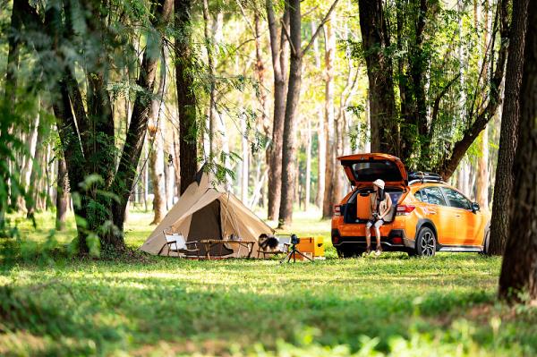 详细阅读:北京论女士有不用的京牌-【京K•K8***】租出去 北京论女士有不用的京牌-【京K•K8***】租出去