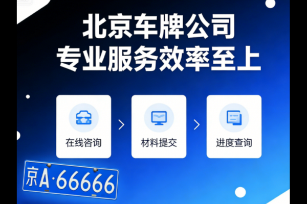 出租汽车车牌照是否合法